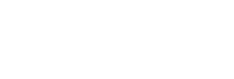 Torvan Medical